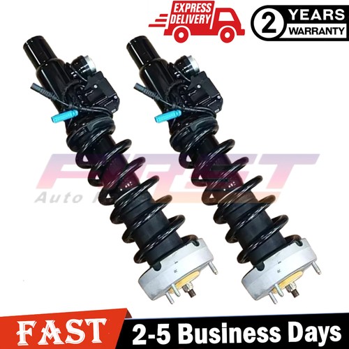 Assy puntone ammortizzatore - puntone,