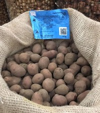 1 Sacco Di Patate Da Seme Da