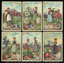 LIEBIG - SAN 474 UNI 475 - FIORI ALPINI - Ed. ITALIANA