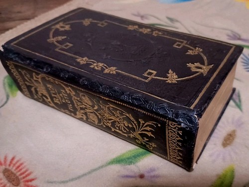 Manuale filotea g riva - di,