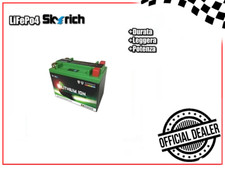 BATTERIA A LITIO SKYRICH