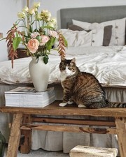 Panca in Legno Massello di