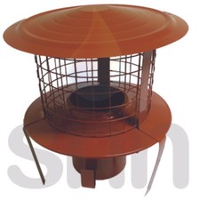 Canna fumaria vaso da