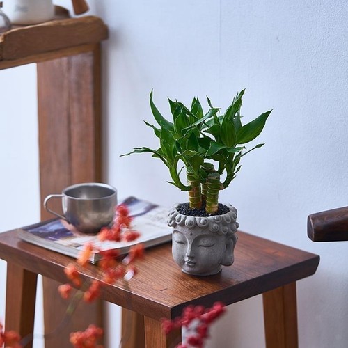 Vaso per fiori forma di - per,