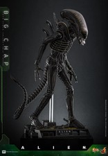 PREORDINE Hot Toys 1/6 Alien Big Chap 36 cm MMS826