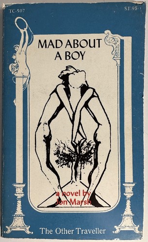 Mad about boy - mad, novel
