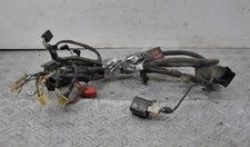 54442 cablaggio impianto - 54442,