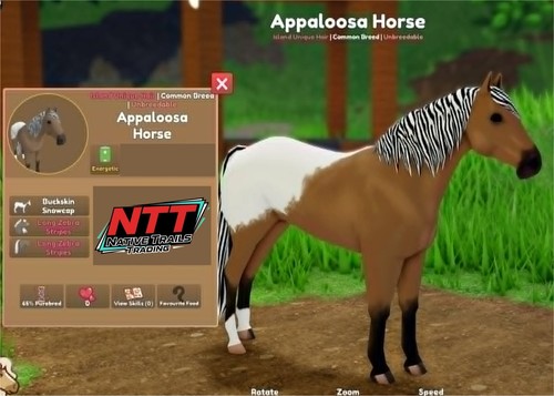 Wild horse islands - wild,