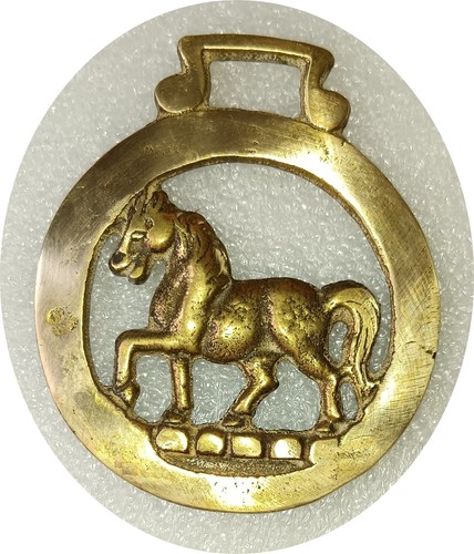 Trotting horse cavallo - horse,