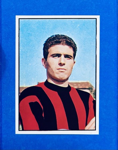 Figurina calciatori panini - calciatori,