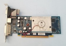PNY NVIDIA GeForce 8400 GS 256