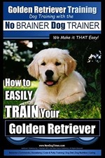 Golden Retriever Training |