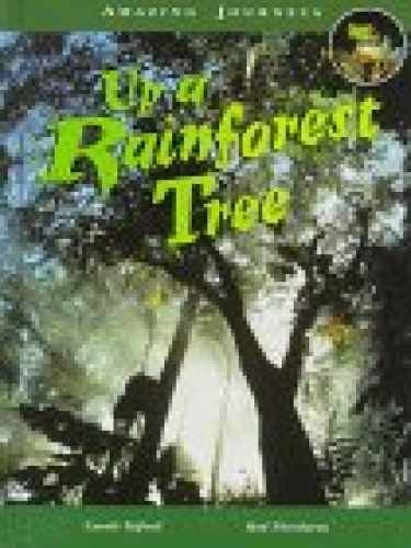 Rainforest library - up,