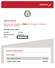 Voucher volo Flight Iberia valore 100 euro - Volo entro Fly Before 24/12/2025