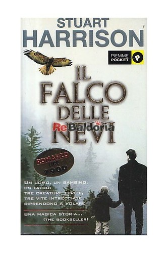 Falco delle nevi - falco,