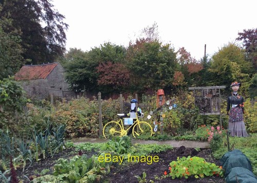 Photo 6x4 yellow bike - yellow,