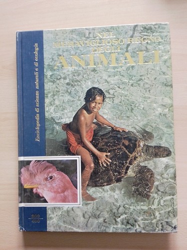 Nel meraviglioso regno - nel,