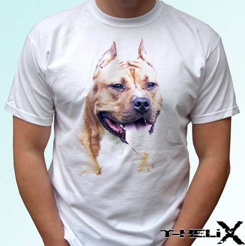 Amstaff american staffordshire - amstaff,