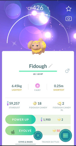 Shiny fidough p t c - -,