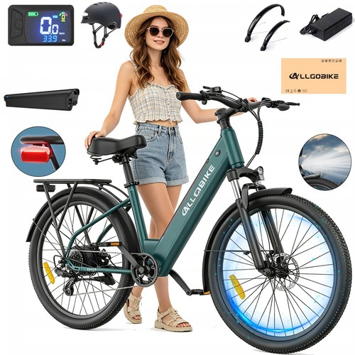 Bicicletta elettrica 250w 5 - bicicletta,
