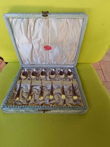 Set cucchiaini in - 6,