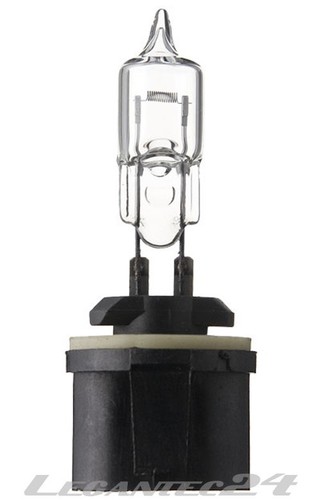 Lampadina 50w pg13 - 12,8v,