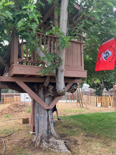 Treehouse hardware - treehouse,