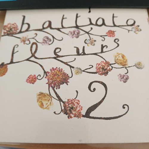 Franco battiato fleurs 2 - battiato,