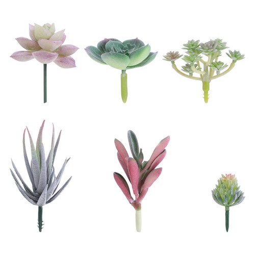 Succulente finte piante - ,