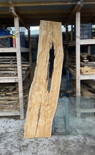 Tavola legno ulivo 195x - tavola, di