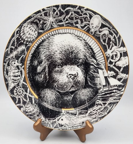 Piatto cane newfoundland club - cane,