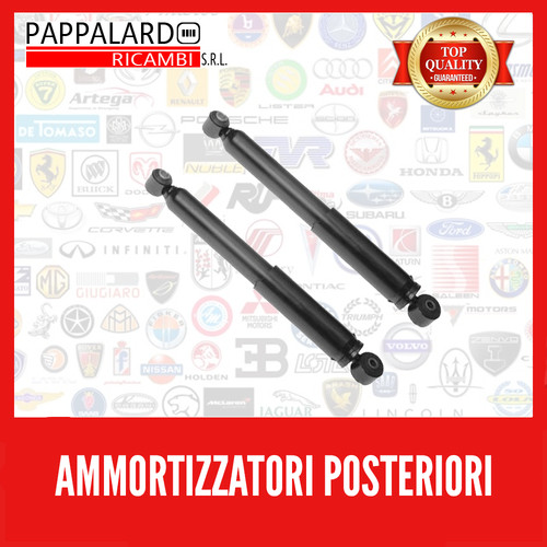 Coppia ammortizzatori - coppia,