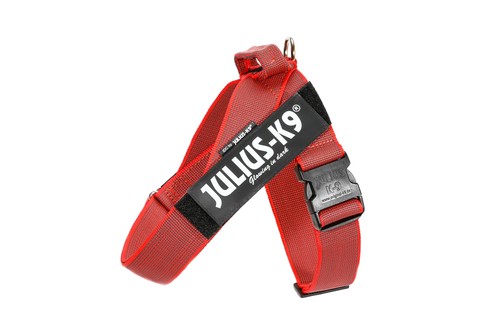 Julius pettorina fascia - julius, k9