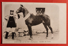 CARTOLINA COSTUME DI NUORO SARDEGNA CAVALLO DA CORSA ( C 96 )