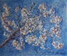   no Antonio Sciacca, Gaetano