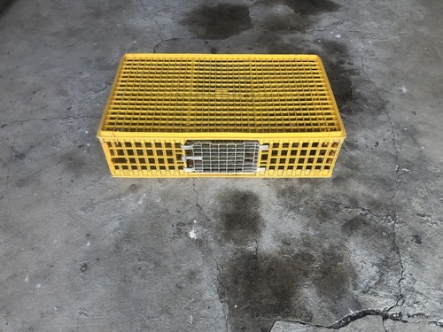 Gabbie trasporto polli galline - polli,
