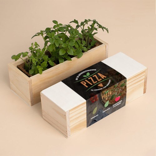 Kit autocoltivazioni pizza - kit,