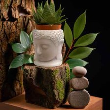 Testa Buddha in materiale