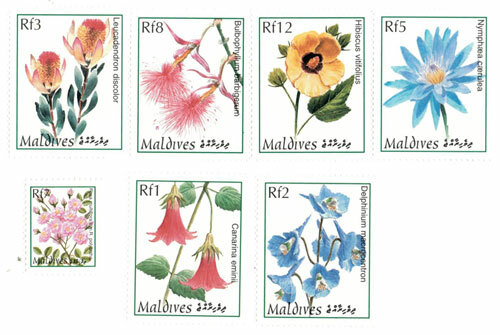 Maldives 1997 exotic flowers - maldives,