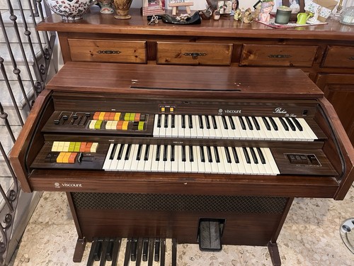 Organo viscount - organo,