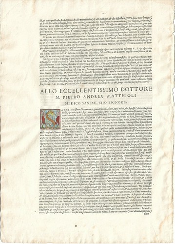 Erboristeria medicina mattioli - erboristeria,
