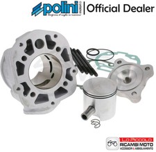 109.0016 GRUPPO TERMICO POLINI