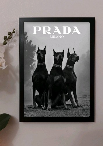 Quadro prada - quadro,
