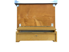 Trappola raccolta polline per