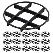  50 Pcs Alzatina Piante