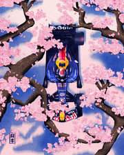 Oracle Red Bull Racing Formula