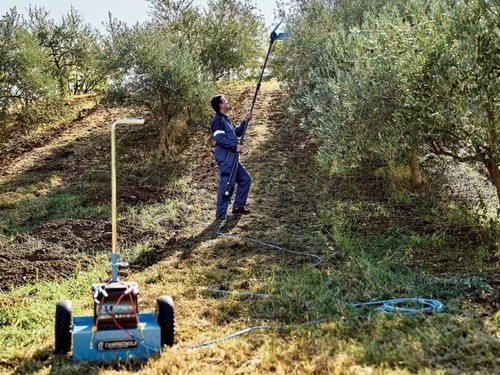 Abbacchiatore elettrico - abbacchiatore,