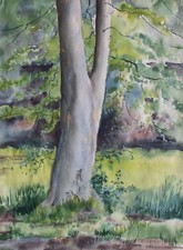 Gerhard Schulte-Dahling albero