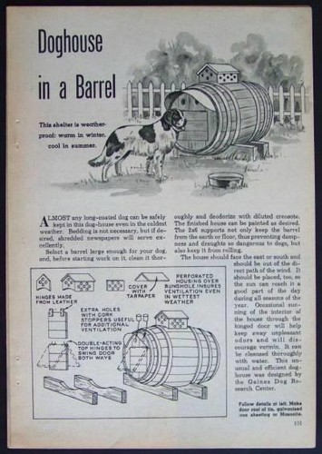 Barile legno casa - barile,