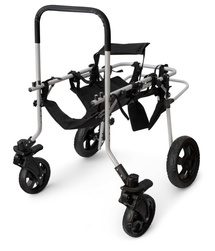 Sedia rotelle per cani - sedia,
